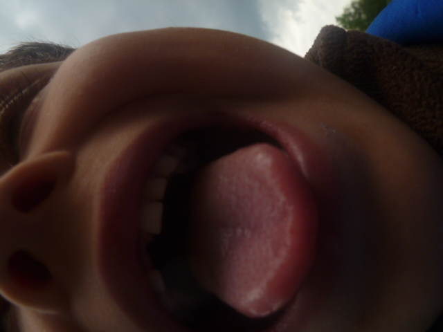 P1030244a